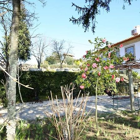 Quinta De Vila Verde- Paixao Ancestral, Turismo Rural Marco de Canavezes 外观 照片