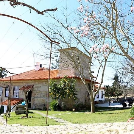 Quinta De Vila Verde- Paixao Ancestral, Turismo Rural Marco de Canavezes 外观 照片