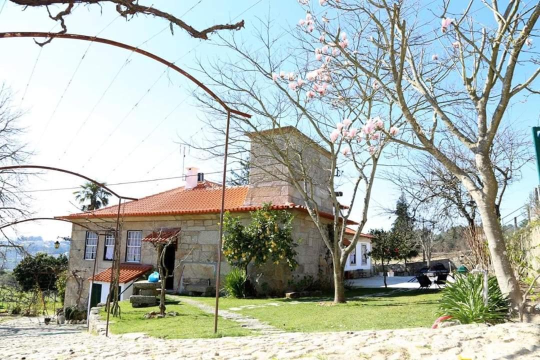 Quinta De Vila Verde- Paixao Ancestral, Turismo Rural Marco de Canavezes 外观 照片